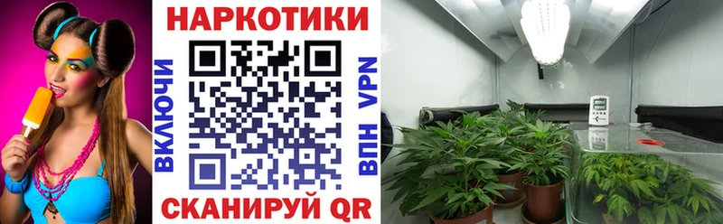 Где найти наркотики Вилючинск Галлюциногенные грибы блэк спрут маркетплейс Alpha PVP Меф мяу мяу