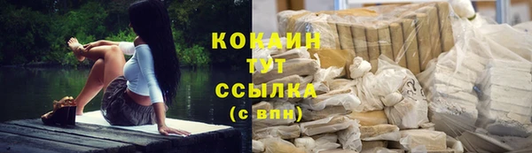 сатива Магас
