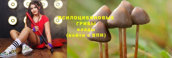 бошки Мегион