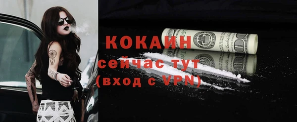 бошки Мегион