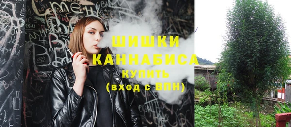 не бодяженный Медвежьегорск
