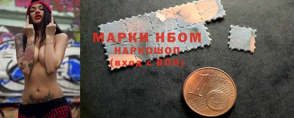 гашик Чердынь