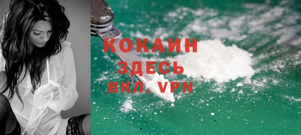 бошки Мегион