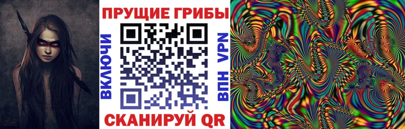 Галлюциногенные грибы Magic Shrooms  Вилючинск 